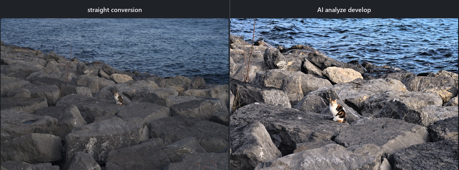 Sony α7R IVA ARW: neutral cat photo beside its AI analyze develop